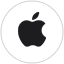 AAPL icon